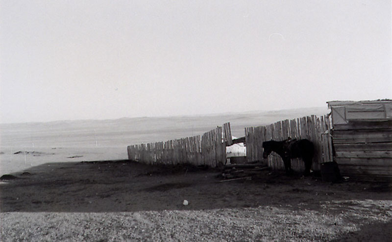 Mongolie